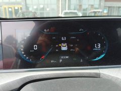 Ford EADO 2023 Enjoy Edition PLUS Blue Whale NE 1.4T GDI DCT Premium Edition - фото 4