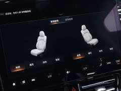 Trumpchi M8 2023 Grandmaster Series 400T Extreme Edition - фото 12