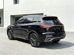 Hongqi HS5 2025 2.0T two-wheel drive Qixiang Pro version - фото 15