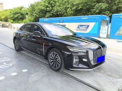 Hongqi H5 2024 2.0T Automatic Zhilianqichang Edition - фото 3