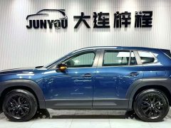 Lexus CX-50 2.0L Edition - фото 8