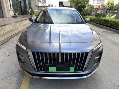 Hongqi H5 PHEV 170 super hybrid version - фото 2