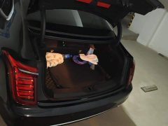 Hongqi H9 2020 2.0T Zhilian Flagship Edition - фото 4