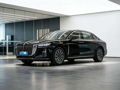 Hongqi H5 2.0T automatic Qichang version - фото 1