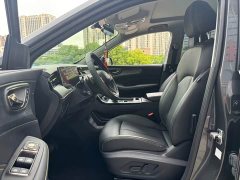 SAIC Roewe RX5 New Energy 2021 ePLUS Guochao Ronlin Deluxe Edition - фото 7