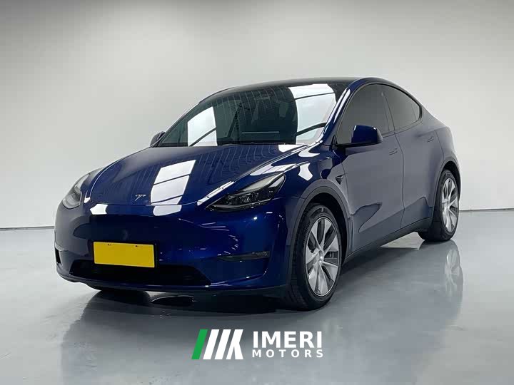 Tesla Model Y standard range rear-wheel drive version - автомобиль из Китая
