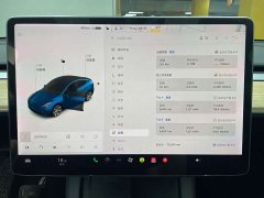 Tesla Model Y standard range rear-wheel drive version - фото 14