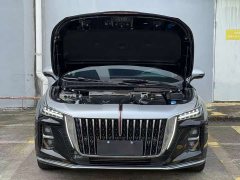 Hongqi H5 2024 2.0T Automatic Zhilianqichang Edition - фото 11