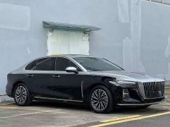 Hongqi H5 2024 2.0T Automatic Zhilianqichang Edition - фото 3