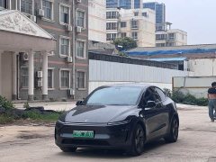 Tesla Model Y Long Range Edition - фото 1