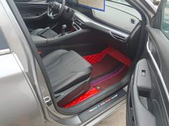 Ford Eado 2021 PLUS 1.6L GDI Manual Elite - фото 8