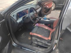 Ford EADO PLUS Blue Whale NE 1.4T GDI DCT Premium Edition - фото 9