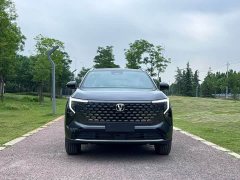 Changan CS55PLUS PHEV Smart New Blue Whale 125km Zhiyue Edition - фото 2