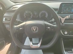 Ruicheng CC 2022 Blue Whale Edition 1.5T DCT Luxury - фото 15