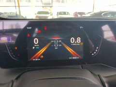 Ruicheng PLUS 1.5T DCT premium - фото 12