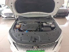 Ruicheng PLUS 1.5T DCT premium - фото 20