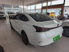 Ruicheng PLUS 1.5T DCT premium - фото 5