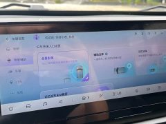 Baojun Yueye 2023 Zhizun Edition - фото 16