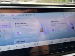 Baojun Yueye 2023 Zhizun Edition - фото 18
