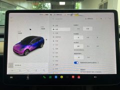 Tesla Model Y standard range rear-wheel drive version - фото 16
