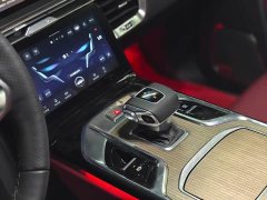 Hongqi E-HS9 690km flagship version six seats - фото 7