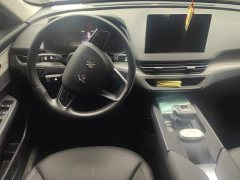 Hongqi E-QM5 560km PLUS - фото 13