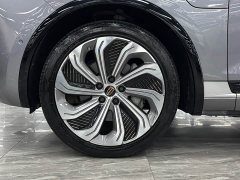 Hongqi E-HS9 660km flag collar version four seats - фото 19