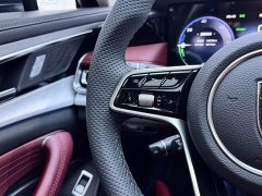 Hongqi H5 PHEV 170 super hybrid version - фото 20