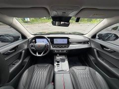 Hongqi HS5 2023 2.0T Qixiang Pro version - фото 10