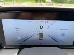 Hongqi HS5 2023 2.0T Qixiang Pro version - фото 12