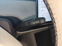 Hongqi Tiangong 05 550 Smart Select Edition - фото 14