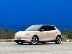 Ora Euler Good Cat 400km standard battery life Athena version ternary lithium - фото 1