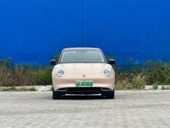 Ora Euler Good Cat 400km standard battery life Athena version ternary lithium - фото 2