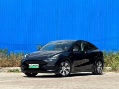 Tesla Model Y rear-wheel drive version - фото 1