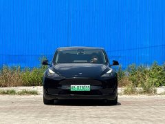 Tesla Model Y rear-wheel drive version - фото 2