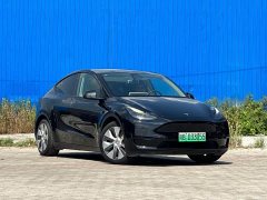 Tesla Model Y rear-wheel drive version - фото 3