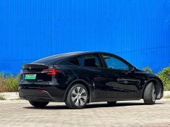 Tesla Model Y rear-wheel drive version - фото 6