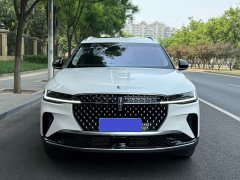 Lincoln Voyager 2.0T four-wheel drive premium version - фото 2