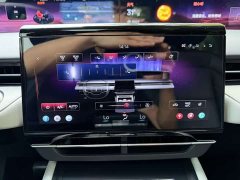 Lincoln Voyager 2.0T four-wheel drive premium version - фото 6