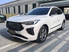 Haval Red Rabbit 2023 1.5T Excellent - фото 1
