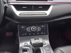 Hongqi H5 classic facelift 1.5T DCT flag rhyme version - фото 12