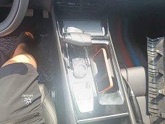 Ruicheng PLUS 1.5T DCT premium - фото 10