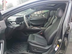 Ruicheng PLUS 1.5T DCT premium - фото 11