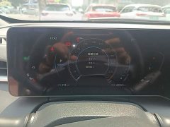 Ruicheng PLUS 1.5T DCT premium - фото 8