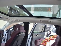Hongqi E-HS9 690km flagship version six seats - фото 14