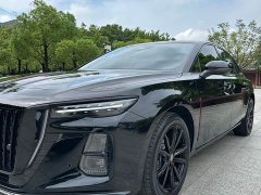 Hongqi H5 2.0T Automatic Xuanying Edition - фото 7