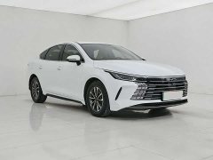 BYD Destroyer 05 Honor Edition DM-i 55KM Luxury Type - фото 2