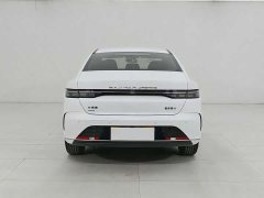 BYD Destroyer 05 Honor Edition DM-i 55KM Luxury Type - фото 3