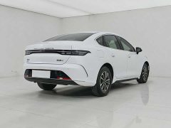 BYD Destroyer 05 Honor Edition DM-i 55KM Luxury Type - фото 4