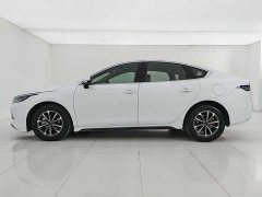 BYD Destroyer 05 Honor Edition DM-i 55KM Luxury Type - фото 6